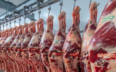 Frollatura della carne: cos’è e quali sono i metodi