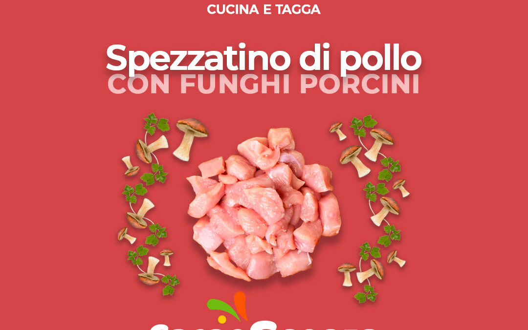 Spezzatino di pollo con funghi porcini